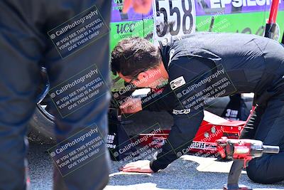 media/May-04-2025-Lucky Dog Racing (Sun) [[21629467aa]]/Around the Pits/